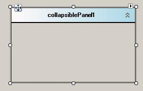 折叠Panel控件设计界面