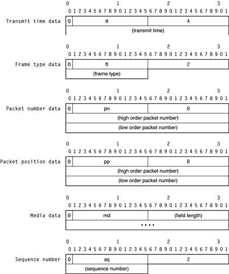 RTP data in standard format